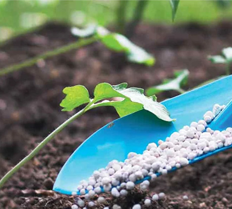 Vente intrants agricoles 