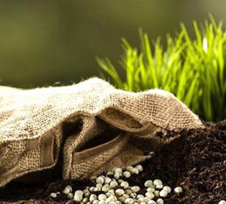 Distribution des intrants 